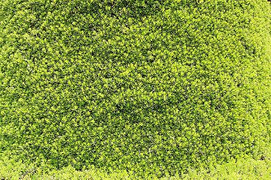 韩版模拟人生《inZOI》新实机 在美丽街头漫步